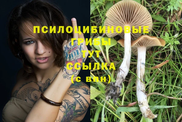 кокаин премиум Алексеевка