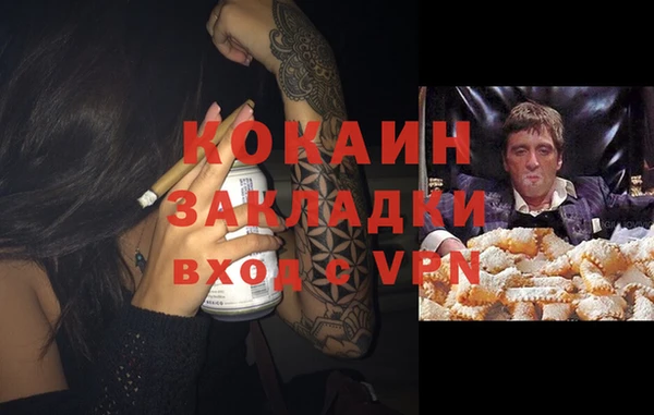 a pvp Алзамай